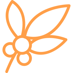 Styl rustykalny / boho